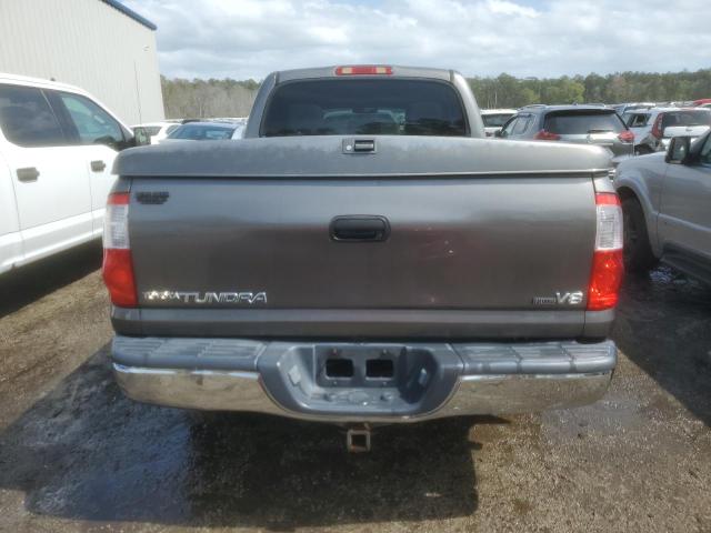 5TBET34196S508600 - 2006 TOYOTA TUNDRA DOUBLE CAB SR5 GRAY photo 6