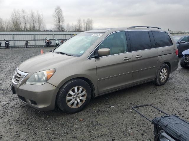 5FNRL3H71AB055853 - 2010 HONDA ODYSSEY EXL TAN photo 1