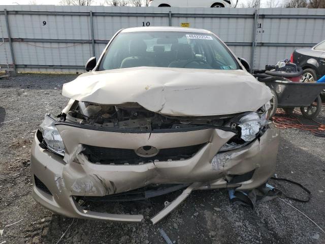 2T1BU4EE0AC528492 - 2010 TOYOTA COROLLA BASE TAN photo 5