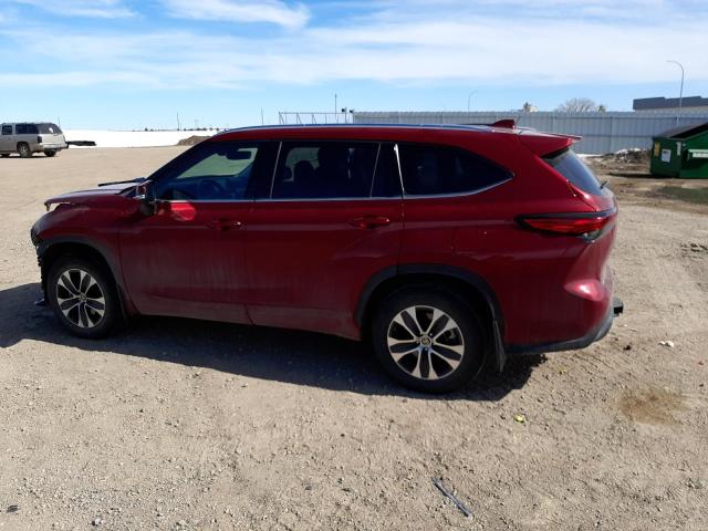 5TDGZRBH7MS153019 - 2021 TOYOTA HIGHLANDER XLE Bordo foto 2