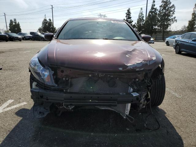 1HGCP3F80BA015331 - 2011 HONDA ACCORD EXL BURGUNDY photo 5