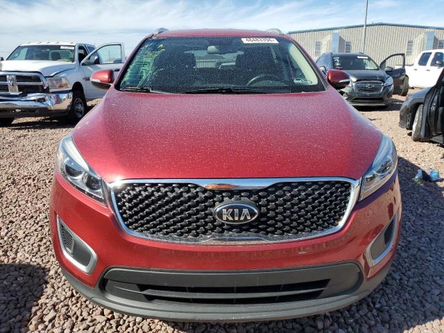 5XYPG4A36GG149186 - 2016 KIA SORENTO LX RED photo 5