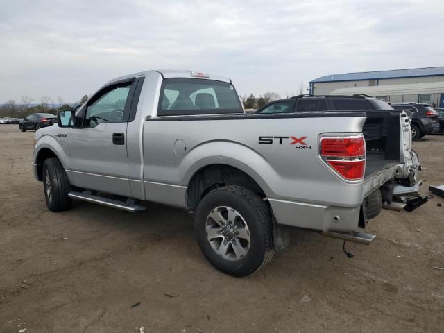 1FTMF1EF2DFC08810 - 2013 FORD F150 SILVER photo 2