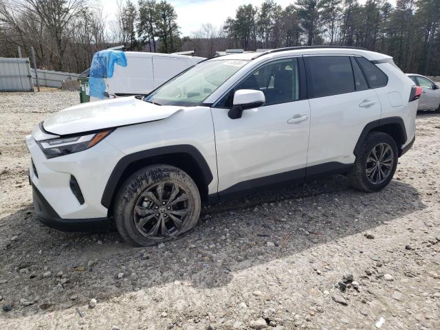 2024 TOYOTA RAV4 XLE PREMIUM, 