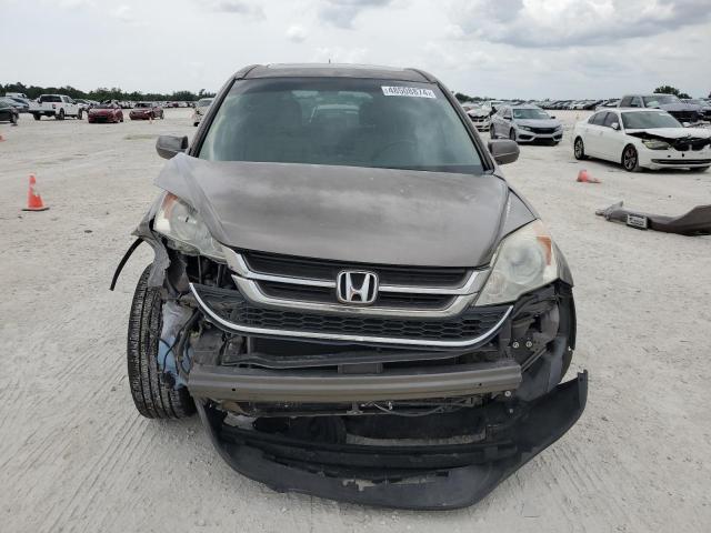 5J6RE4H77BL087022 - 2011 HONDA CR-V EXL BROWN photo 5