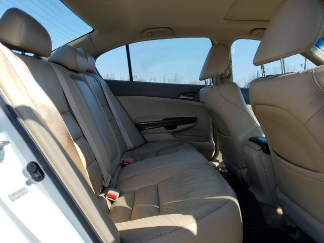 1HGCP36838A085673 - 2008 HONDA ACCORD EXL WHITE photo 10