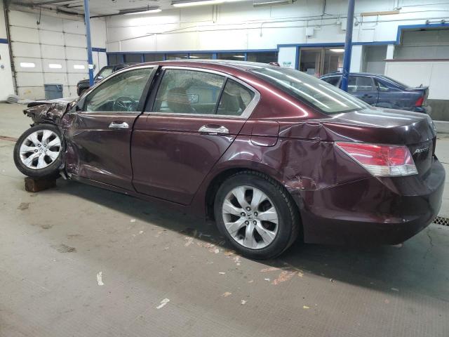 5KBCP3F82AB011335 - 2010 HONDA ACCORD EXL MAROON photo 2