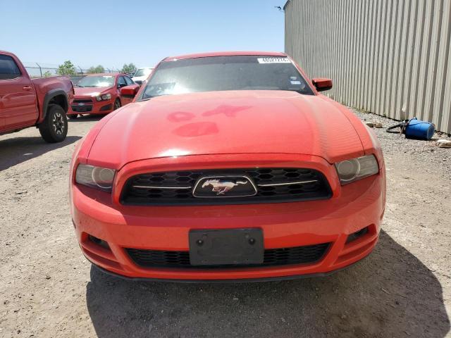 1ZVBP8AM2D5235915 - 2013 FORD MUSTANG RED photo 5