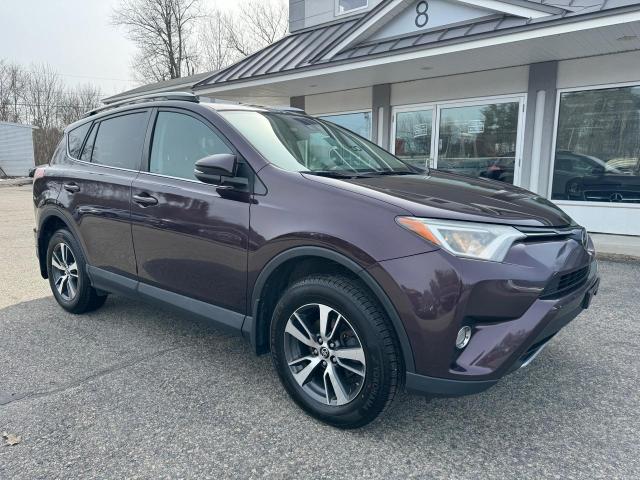 2T3RFREV7HW625386 - 2017 TOYOTA RAV4 XLE PURPLE photo 1