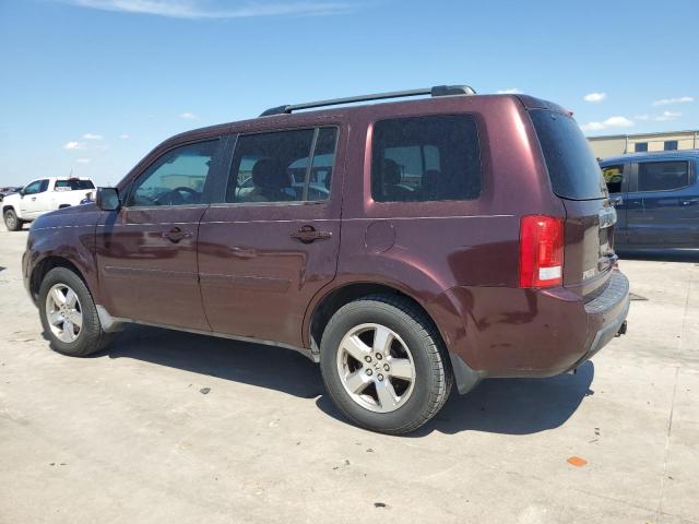 5FNYF48459B010571 - 2009 HONDA PILOT EX BURGUNDY photo 2