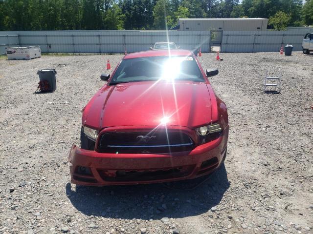 1ZVBP8AM7E5249116 - 2014 FORD MUSTANG RED photo 5