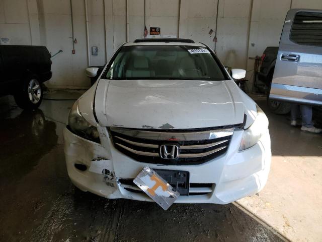 5KBCP3F89BB004187 - 2011 HONDA ACCORD EXL WHITE photo 5