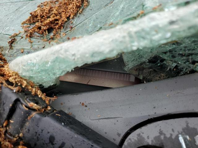 5N1AR18U26C638728 - 2006 NISSAN PATHFINDER LE 黑色 照片 12