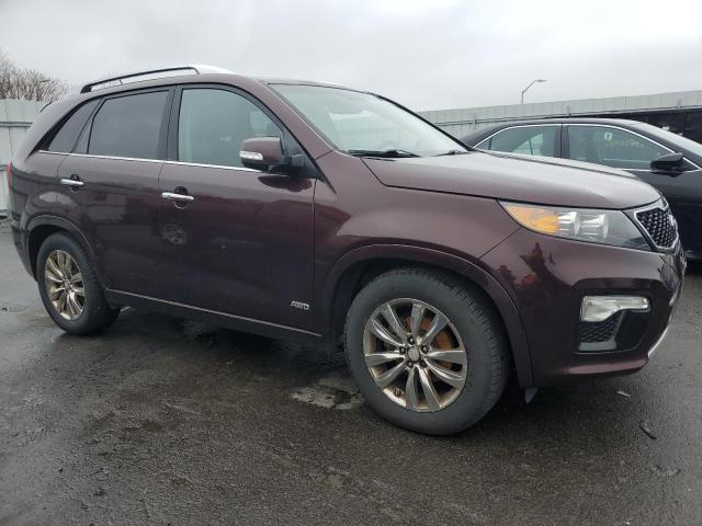 5XYKWDA21DG359369 - 2013 KIA SORENTO SX BURGUNDY photo 4