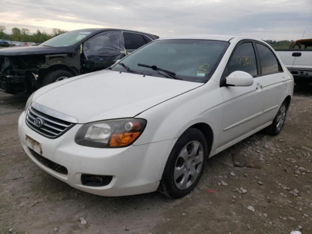 KNAFE221295657831 - 2009 KIA SPECTRA EX WHITE photo 9