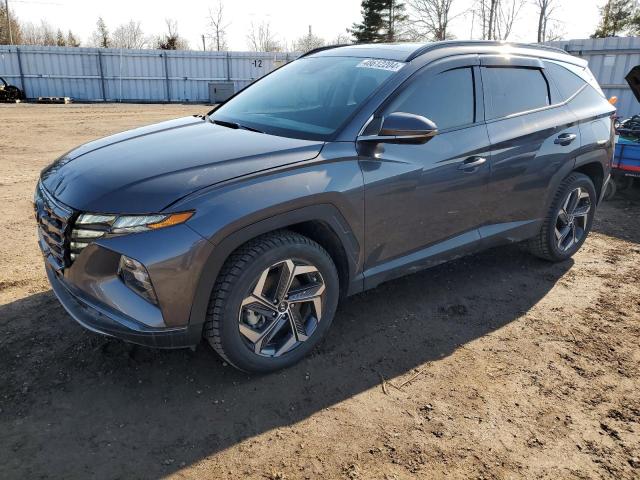 KM8JCCA15PU094993 - 2023 HYUNDAI TUCSON LUXURY GRAY photo 1