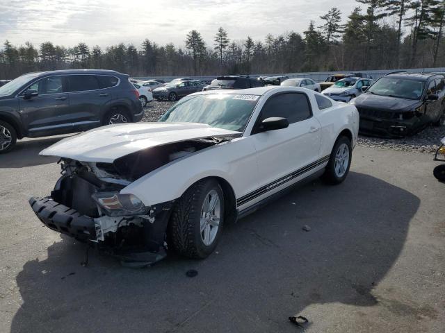 1ZVBP8AM6C5280838 - 2012 FORD MUSTANG WHITE photo 1