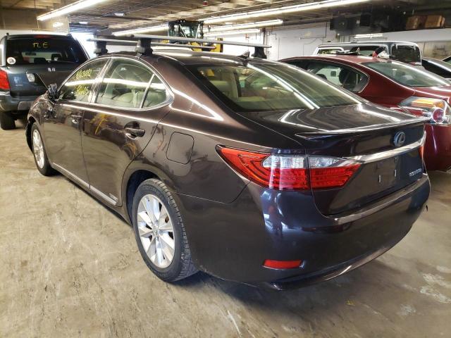 JTHBW1GG6D2001940 - 2013 LEXUS ES 300H BROWN photo 3