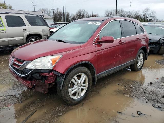 5J6RE4H77AL070039 - 2010 HONDA CR-V EXL BURGUNDY photo 1