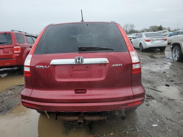 5J6RE4H77AL070039 - 2010 HONDA CR-V EXL BURGUNDY photo 6