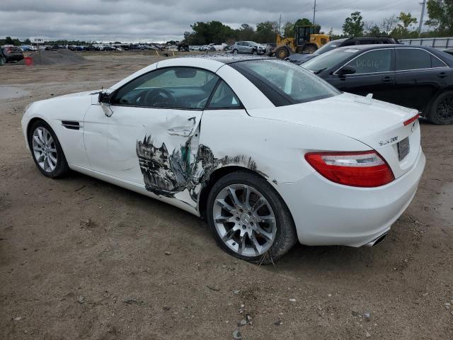 WDDPK3JA5GF116275 - 2016 MERCEDES-BENZ SLK 300 WHITE photo 2