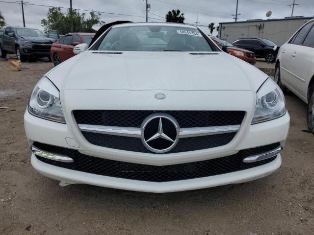 WDDPK3JA5GF116275 - 2016 MERCEDES-BENZ SLK 300 WHITE photo 5