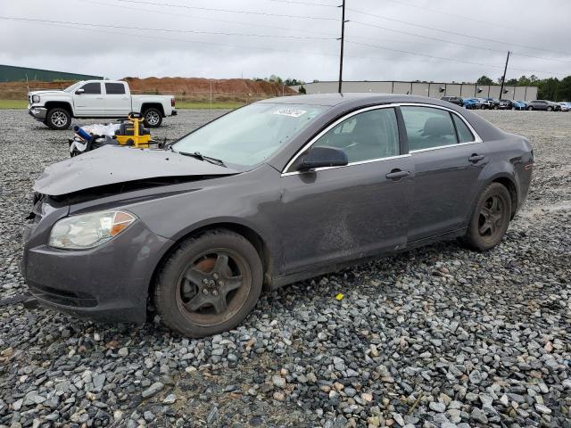 2010 CHEVROLET MALIBU LS, 