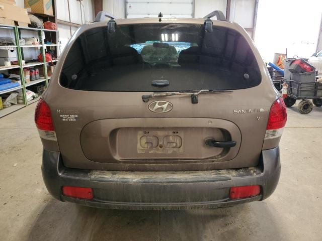 KM8SB13D75U977199 - 2005 HYUNDAI SANTA FE BROWN photo 6