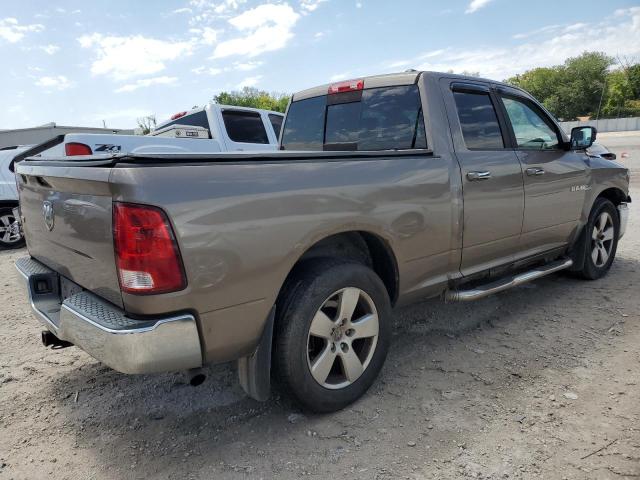 1D3HB18T29S761591 - 2009 DODGE RAM 1500 BROWN photo 3