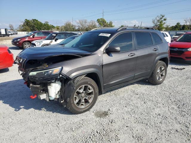 1C4PJMBX9KD183343 - 2019 JEEP CHEROKEE TRAILHAWK GRAY photo 1