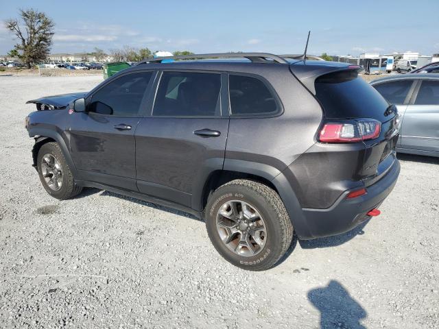 1C4PJMBX9KD183343 - 2019 JEEP CHEROKEE TRAILHAWK GRAY photo 2