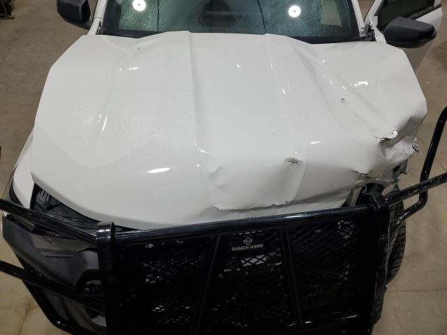 1GCPTBEK0P1179866 - 2023 CHEVROLET COLORADO Ақ фото 11