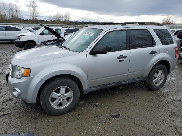 2010 FORD ESCAPE XLT, 