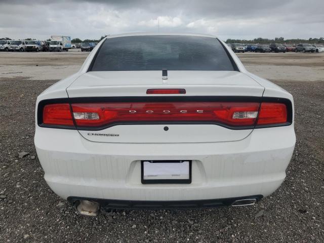 2C3CDXAG2DH715938 - 2013 DODGE CHARGER POLICE WHITE photo 6