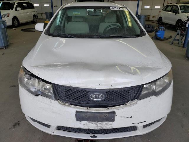 KNAFT4A24A5112844 - 2010 KIA FORTE LX WHITE photo 11