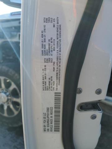 3C6UR5GLXPG512060 - 2023 RAM 2500 LONGHORN 白色 照片 13