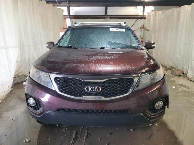 5XYKTCA63CG205976 - 2012 KIA SORENTO BASE BURGUNDY photo 5