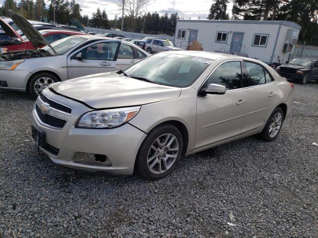 1G11C5SA5DF351240 - 2013 CHEVROLET MALIBU 1LT TAN photo 1