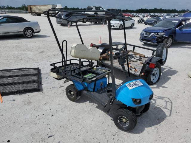 5021U121XNS000211 - 2022 OTHR GOLF CART BLUE photo 1