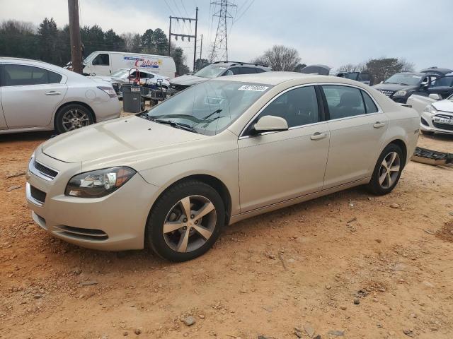 1G1ZC5E17BF242712 - 2011 CHEVROLET MALIBU 1LT BEIGE photo 1