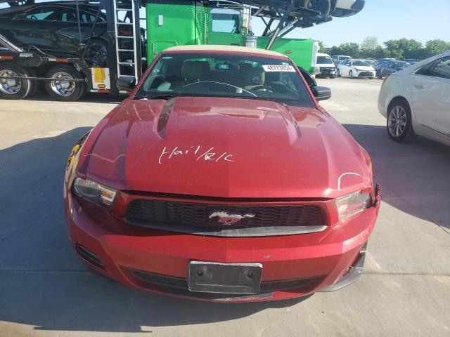 1ZVBP8EM8B5100607 - 2011 FORD MUSTANG RED photo 5