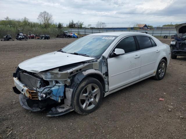 1G1ZC5EB5A4147844 - 2010 CHEVROLET MALIBU 1LT 白色 照片 1