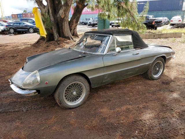 AR1480481 - 1969 ALFA ROMEO SPIDER GRAY photo 1