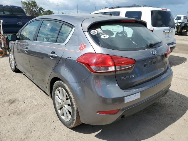 KNAFX5A80E5170163 - 2014 KIA FORTE EX GRAY photo 2