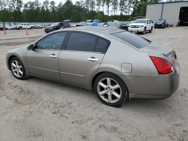 1N4BA41E16C857173 - 2006 NISSAN MAXIMA SE GOLD photo 2