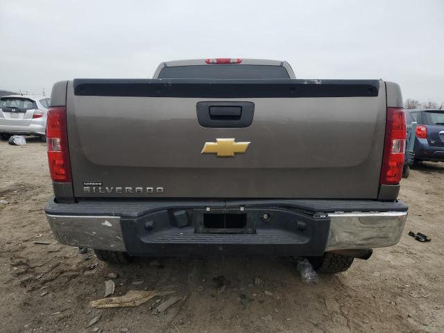 1GCRCPEX3DZ217654 - 2013 CHEVROLET SILVERADO C1500 BROWN photo 6