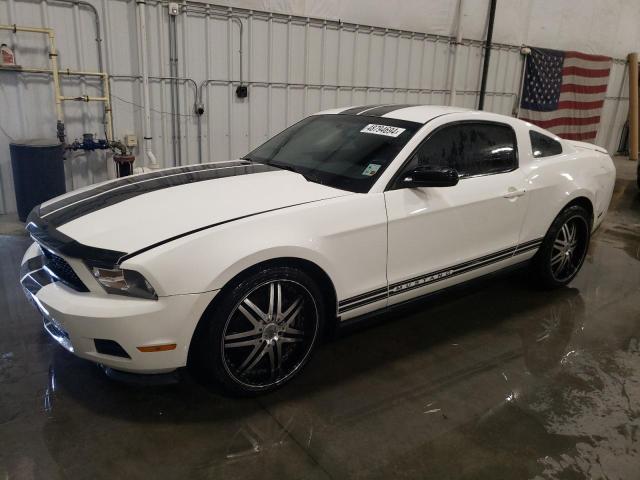 1ZVBP8AM2C5283851 - 2012 FORD MUSTANG WHITE photo 1