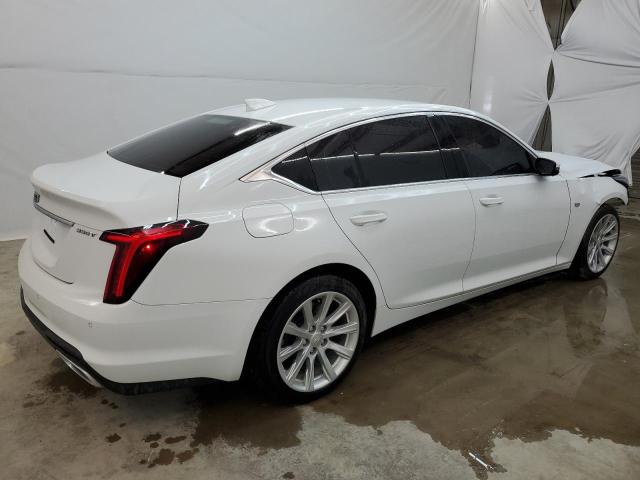 1G6DM5RK1P0113797 - 2023 CADILLAC CT5 LUXURY WHITE photo 3