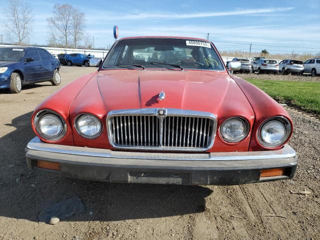 SAJAV1349EC388993 - 1984 JAGUAR XJ6 RED photo 5