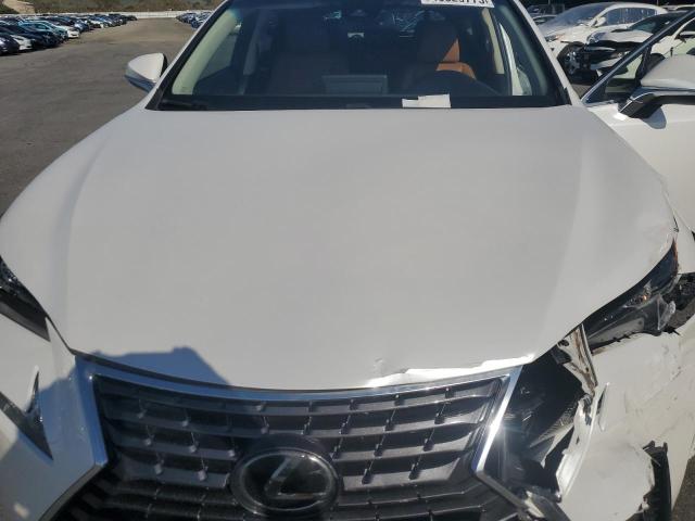 JTJYARBZ4J2096704 - 2018 LEXUS NX 300 BASE 白色 照片 12